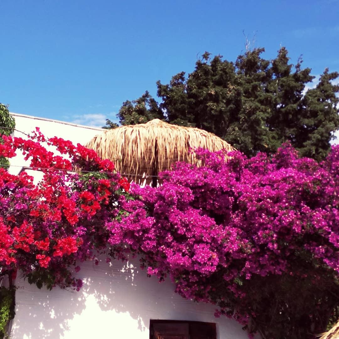 Naxos Summerland Resort Kastraki  Екстер'єр фото