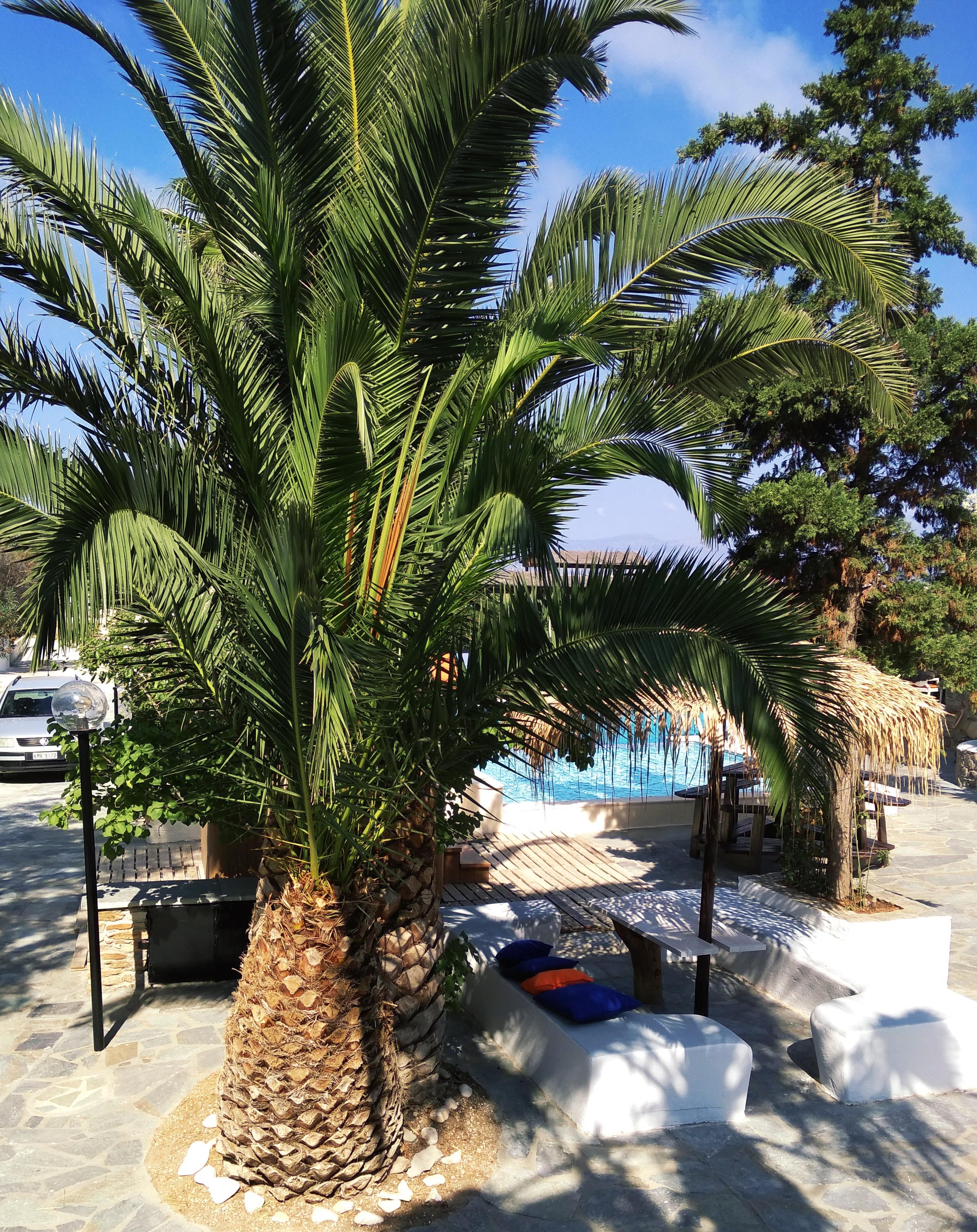 Naxos Summerland Resort Kastraki  Екстер'єр фото